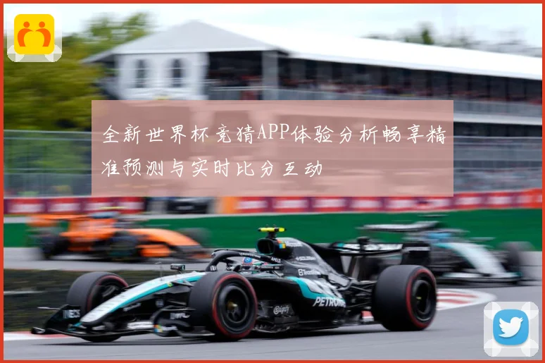 全新世界杯竞猜APP体验分析畅享精准预测与实时比分互动